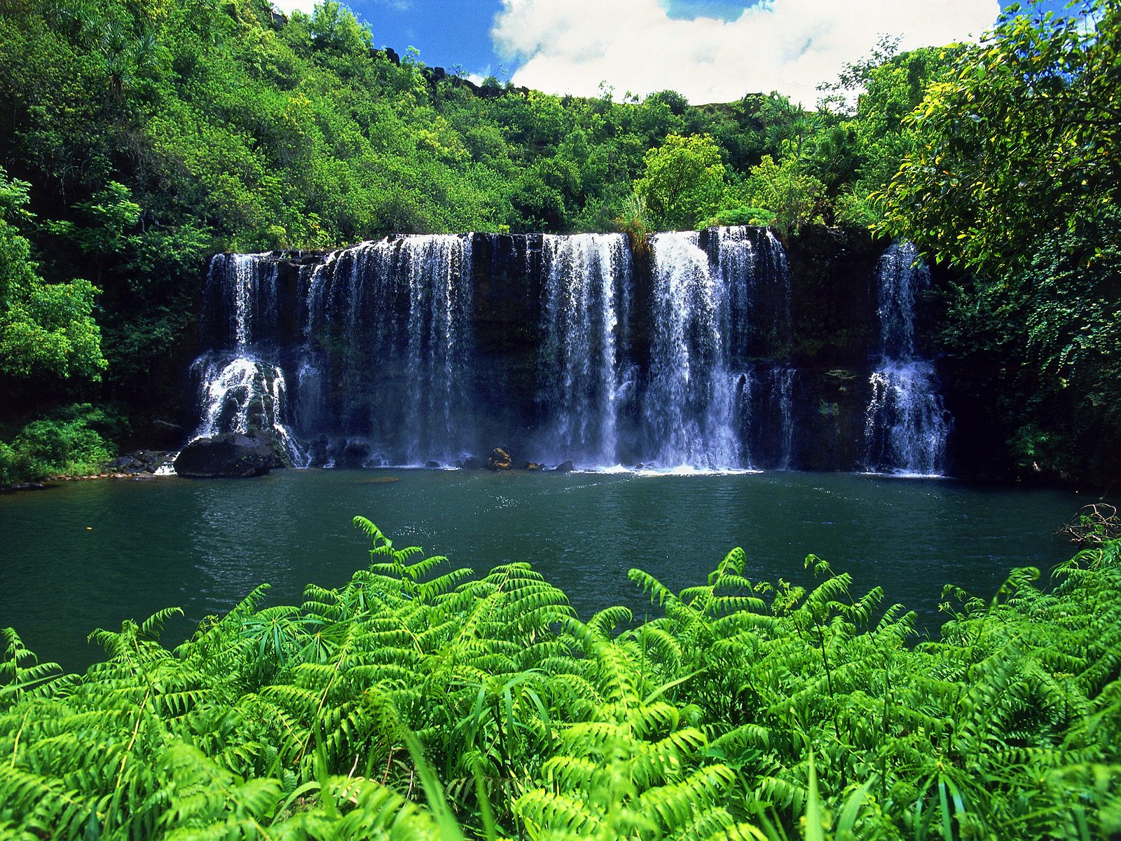 Secluded Falls, Kauai
